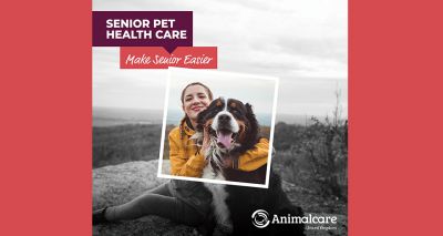 Free practice resources to 'Make Senior Easier'